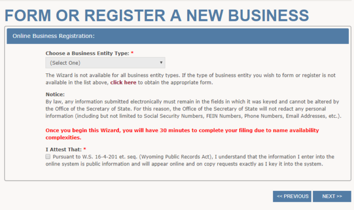 Start a Wyoming LLC, step #3: screenshot of the "Form or Register a new Business" window.